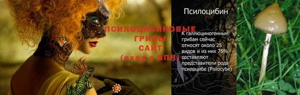СК Кулебаки