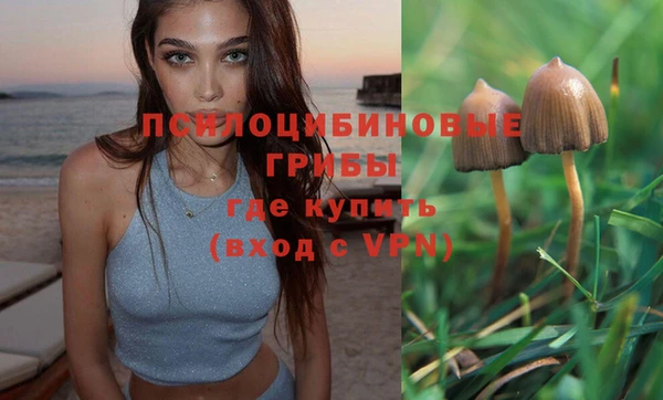 кокаин премиум Ладушкин