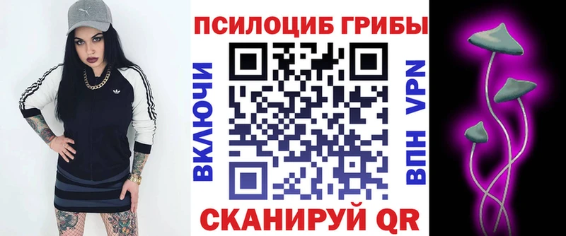 Купить закладки  Шуя  Псилоцибиновые грибы GOLDEN TEACHER 